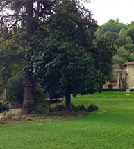 Montalvo