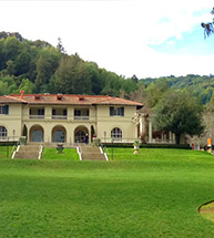 Montalvo