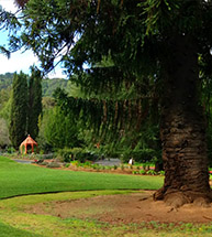 Montalvo